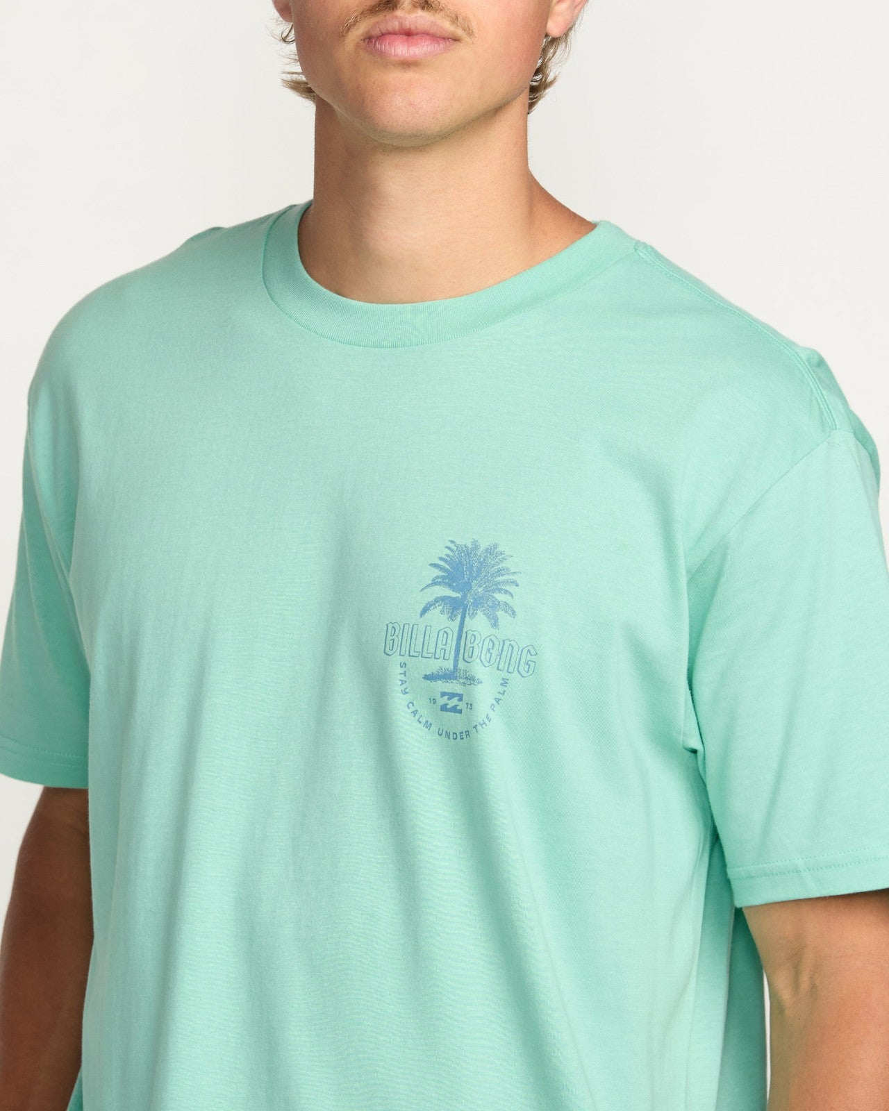 Calm Palm Premium Tee | Bermuda Billabong