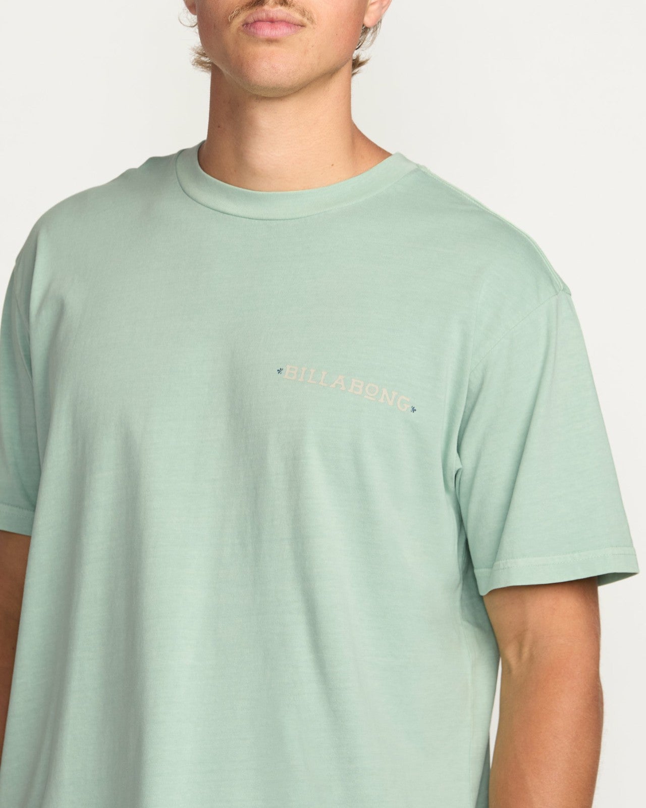 Paise Haze Premium Wave Wash Tee | Mist Green Billabong