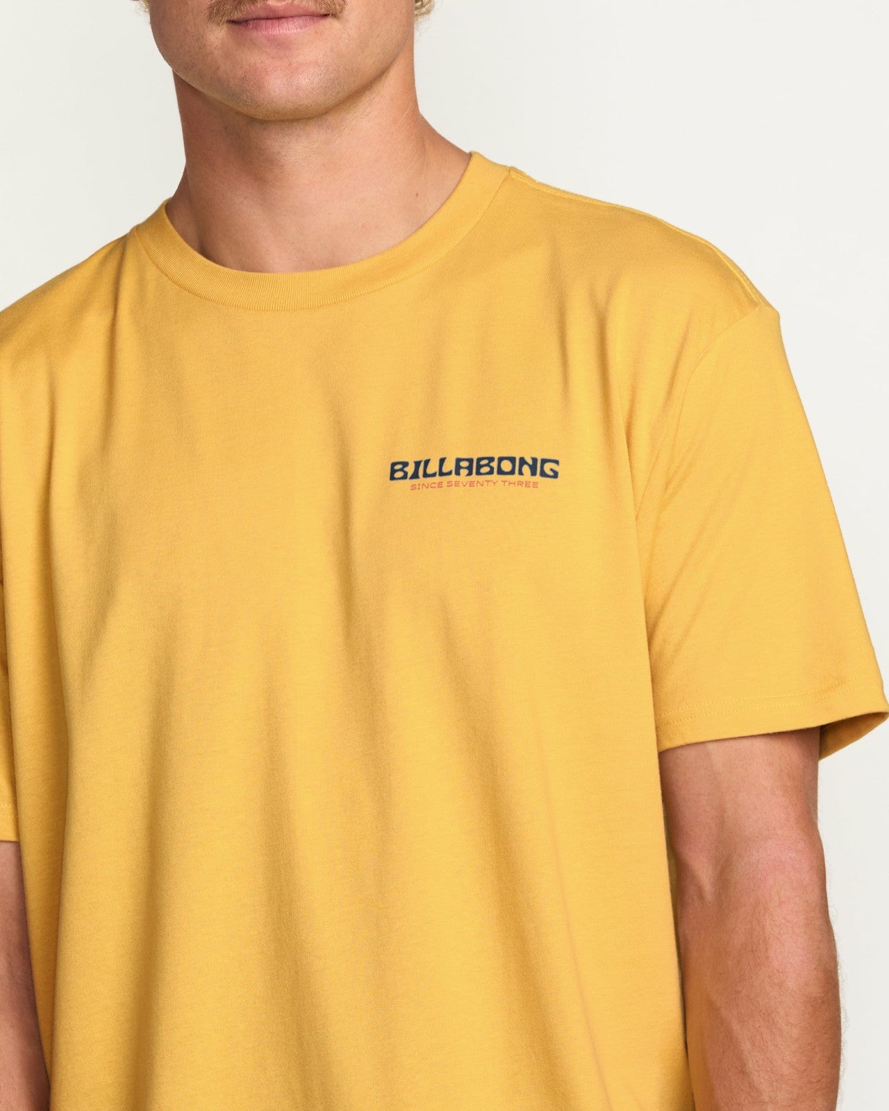 Window Premium Tee | Vintage Gold Billabong