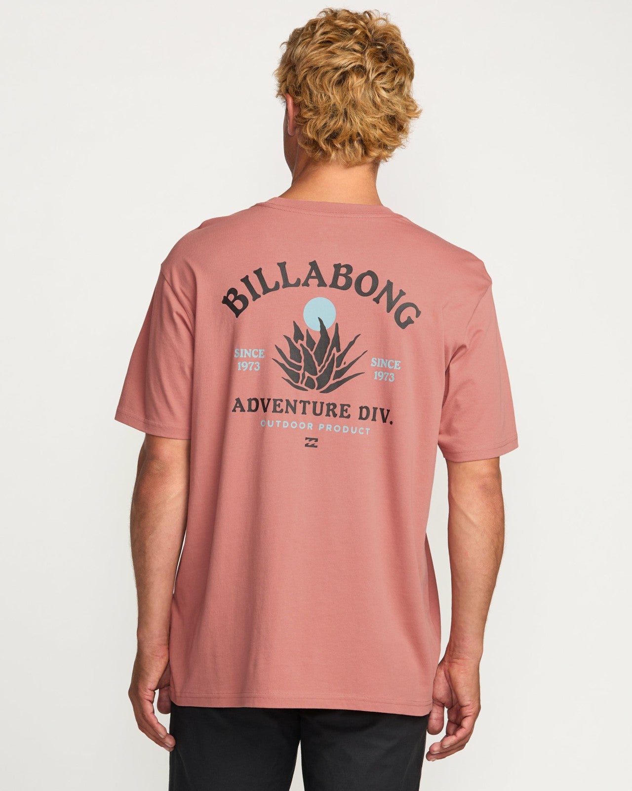A/Div Agave Tee | Dusty Rose Billabong