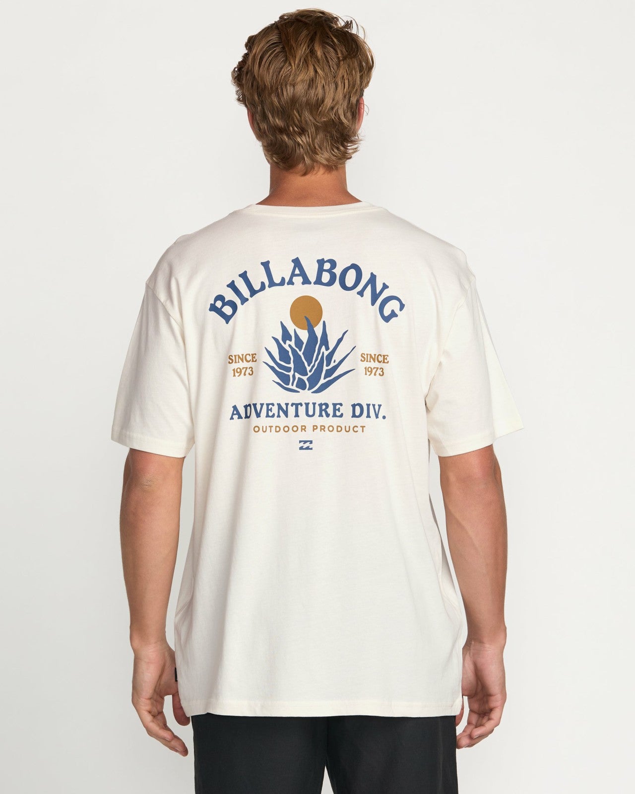 A/Div Agave Tee | Off White Billabong