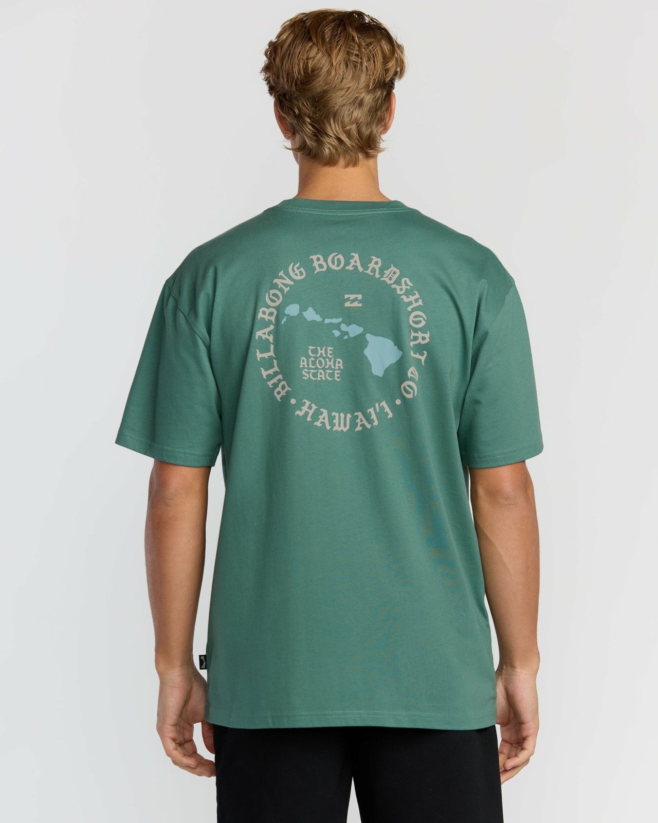 Aloha Island Hi Regular Short Sleeve T-Shirt | Sage Green Billabong