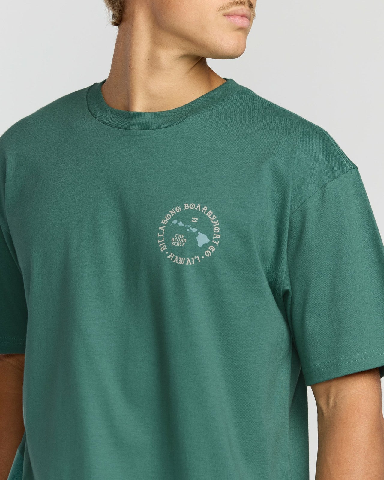 Aloha Island Hi Regular Short Sleeve T-Shirt | Sage Green Billabong