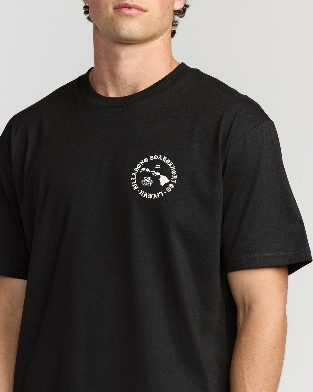 Aloha Island Hi Regular Short Sleeve T-Shirt | Washed Black Billabong