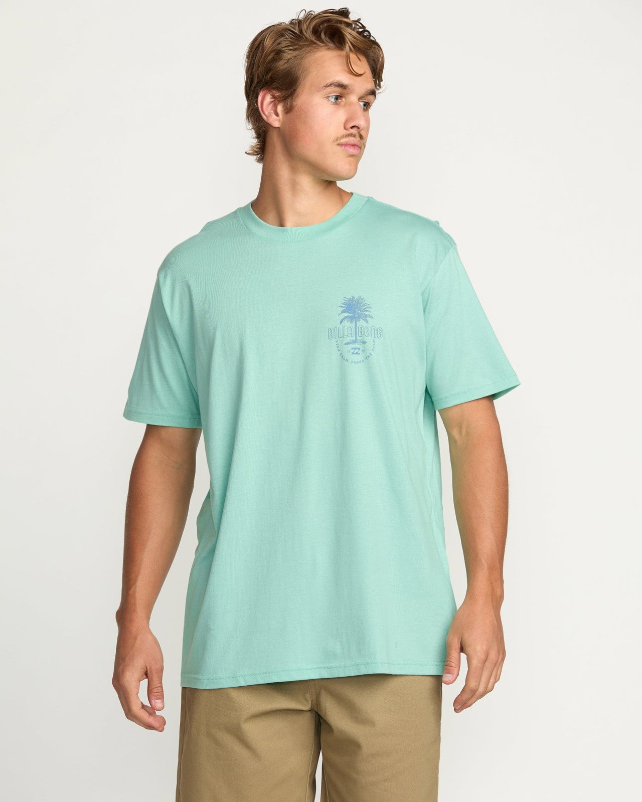 Calm Palm Premium Tee | Bermuda Billabong