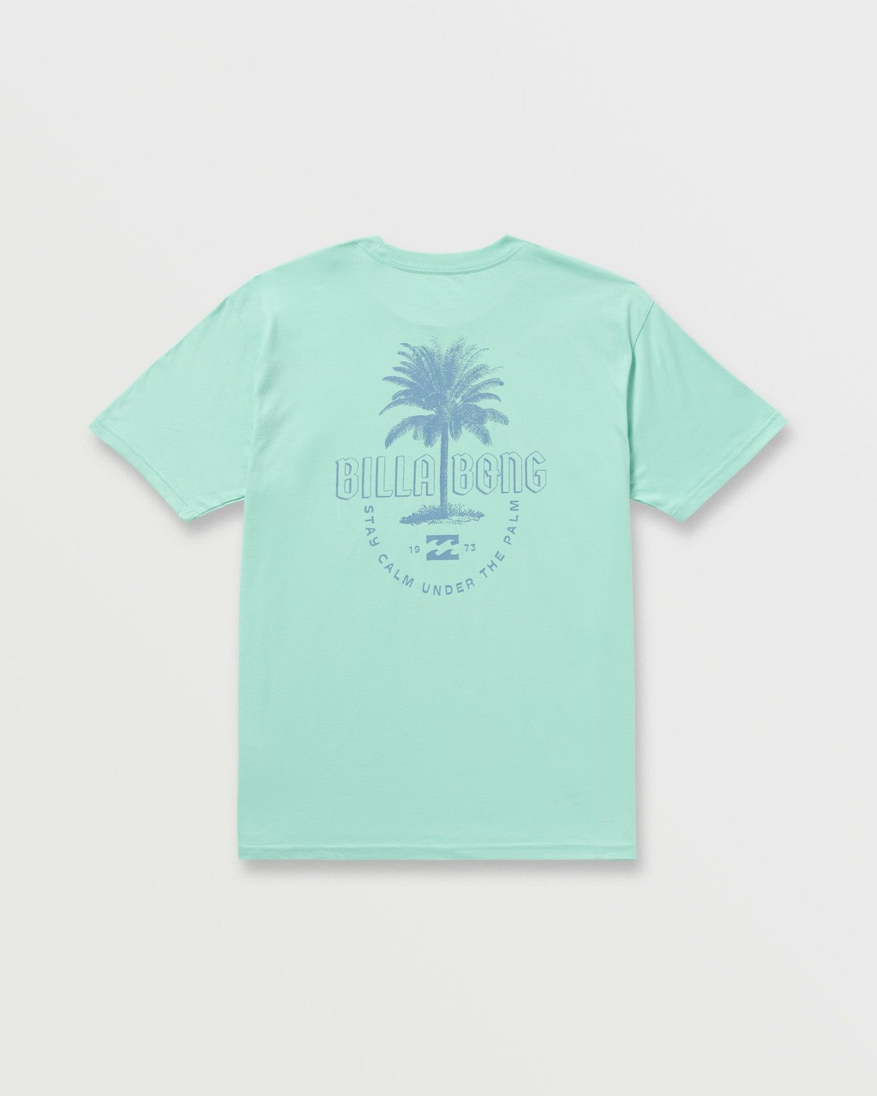Calm Palm Premium Tee | Bermuda Billabong