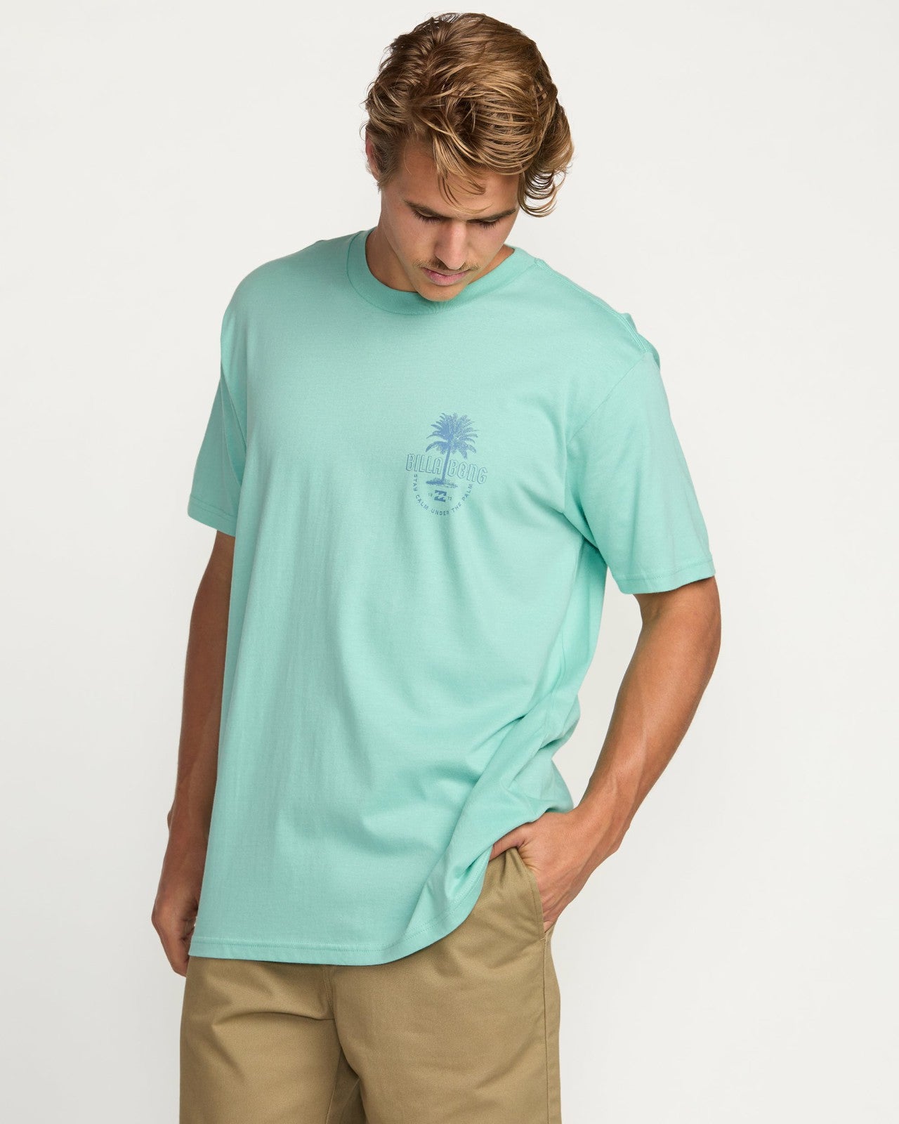 Calm Palm Premium Tee | Bermuda Billabong