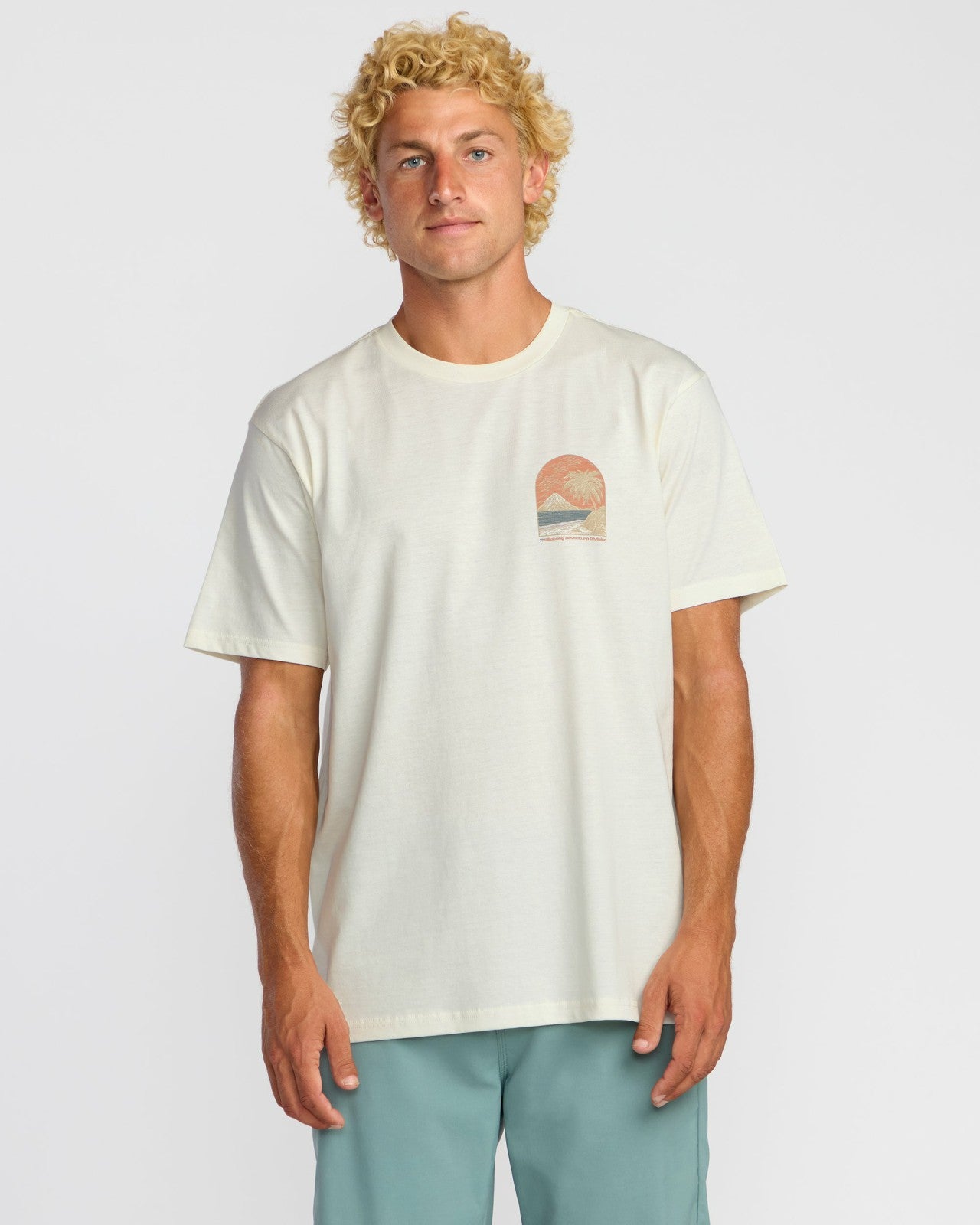 Coastal Range A/Div Short Sleeve T-Shirt | Off White Billabong