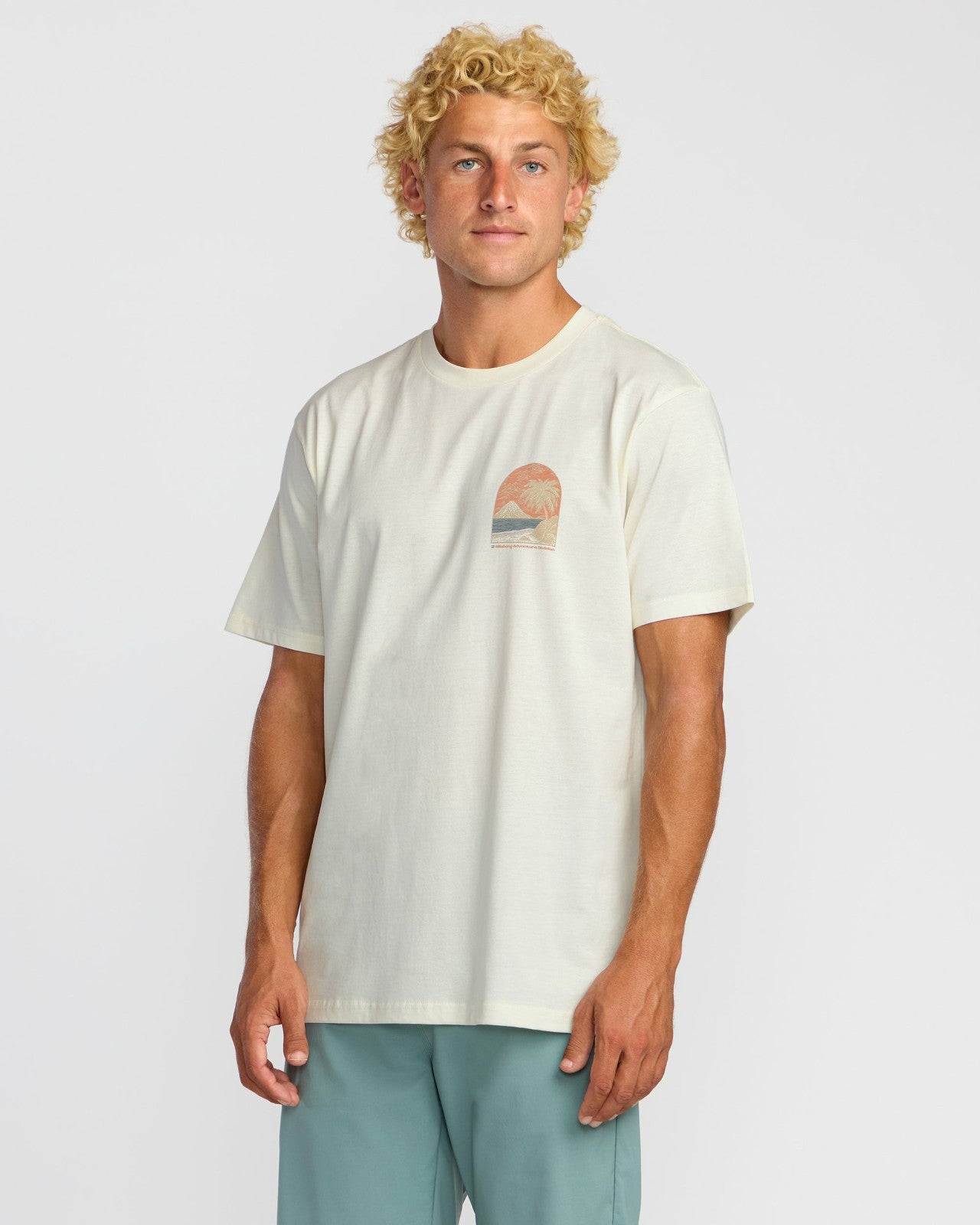 Coastal Range A/Div Short Sleeve T-Shirt | Off White Billabong