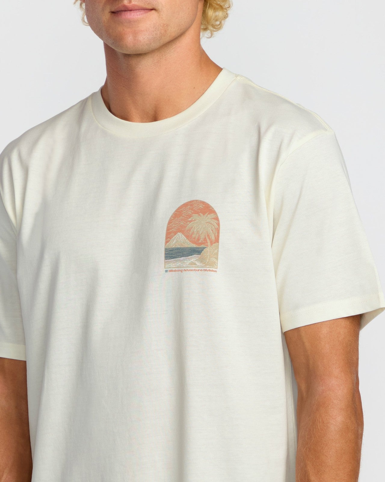 Coastal Range A/Div Short Sleeve T-Shirt | Off White Billabong