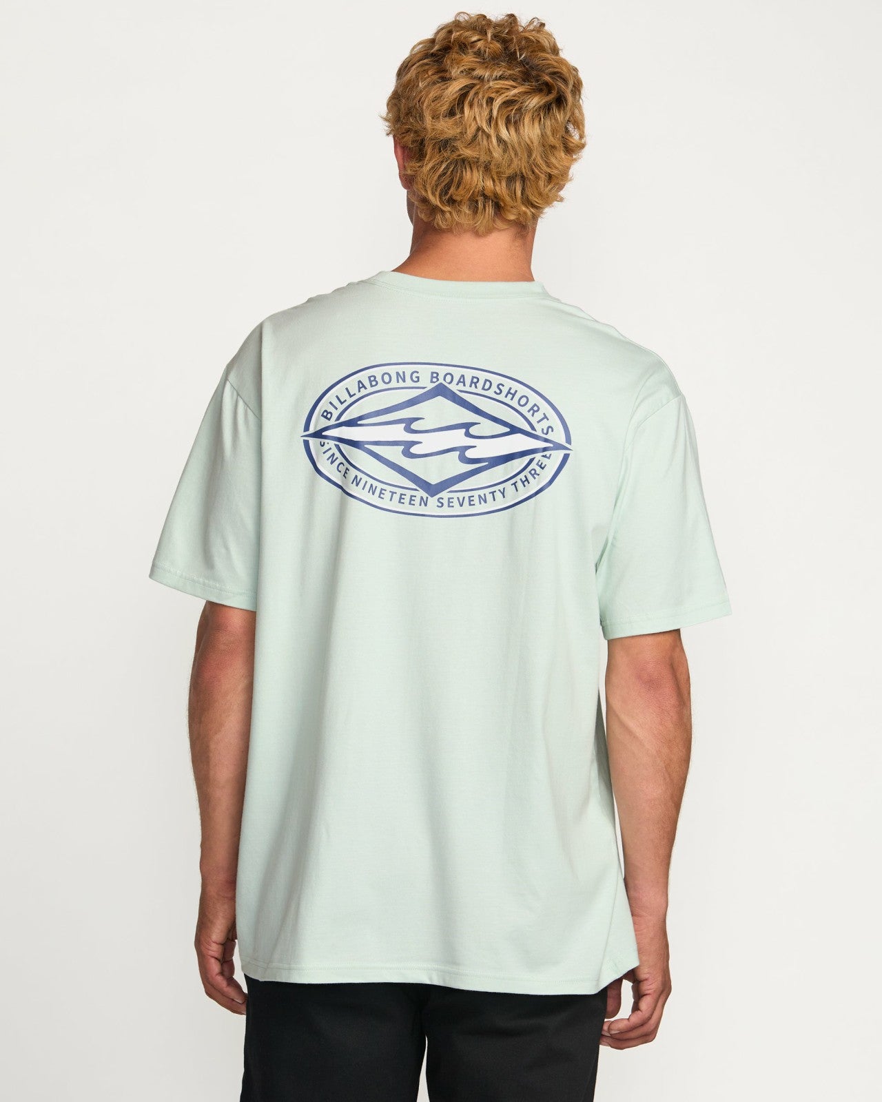 Diamond Vision Regular Tee | Ash Blue Billabong