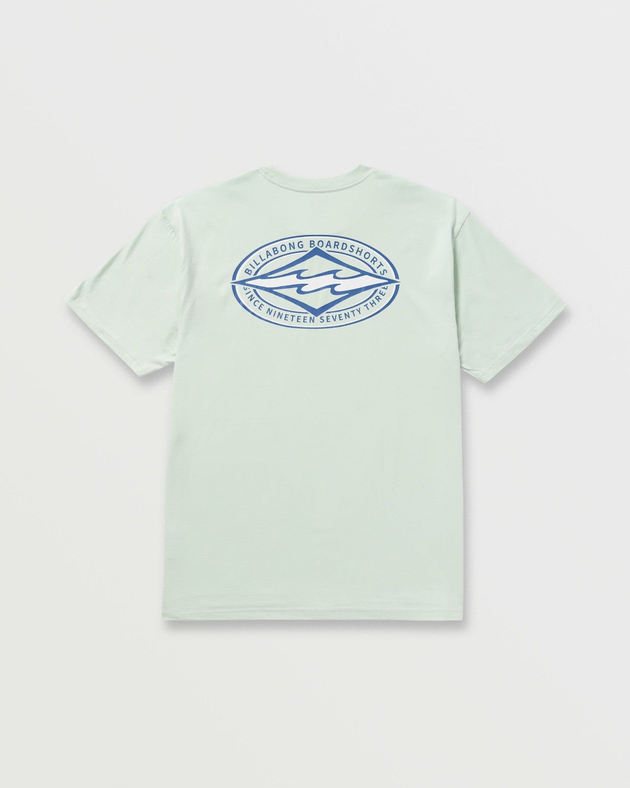 Diamond Vision Regular Tee | Ash Blue Billabong