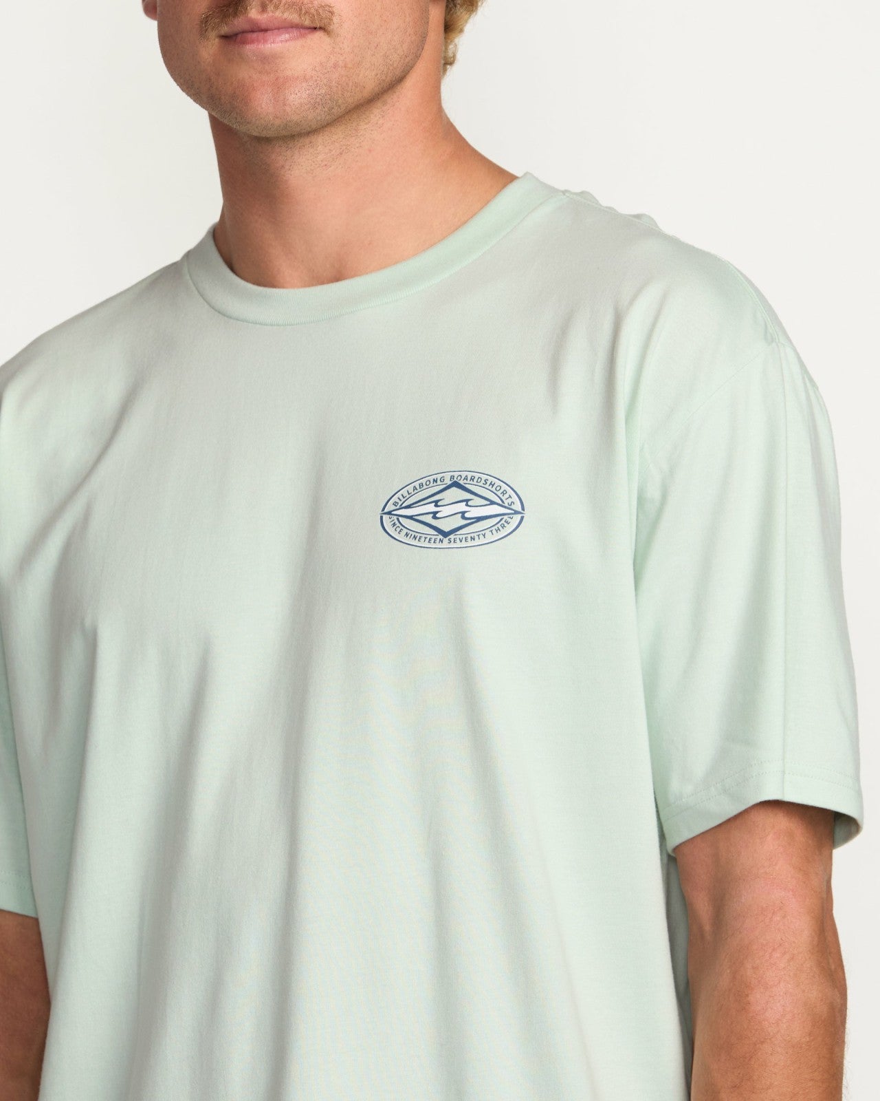 Diamond Vision Regular Tee | Ash Blue Billabong