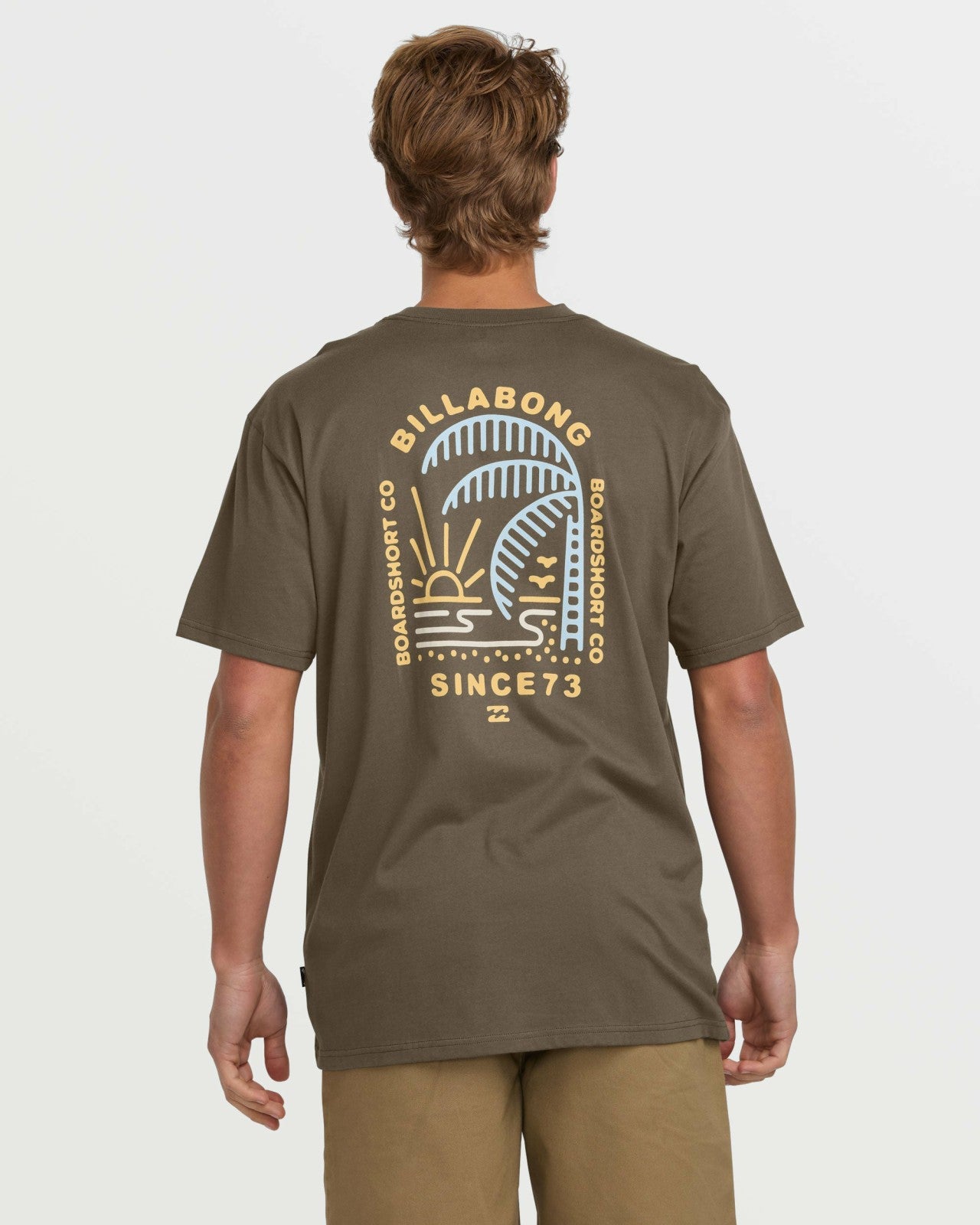 Last Light Premium Tee | Brown Billabong
