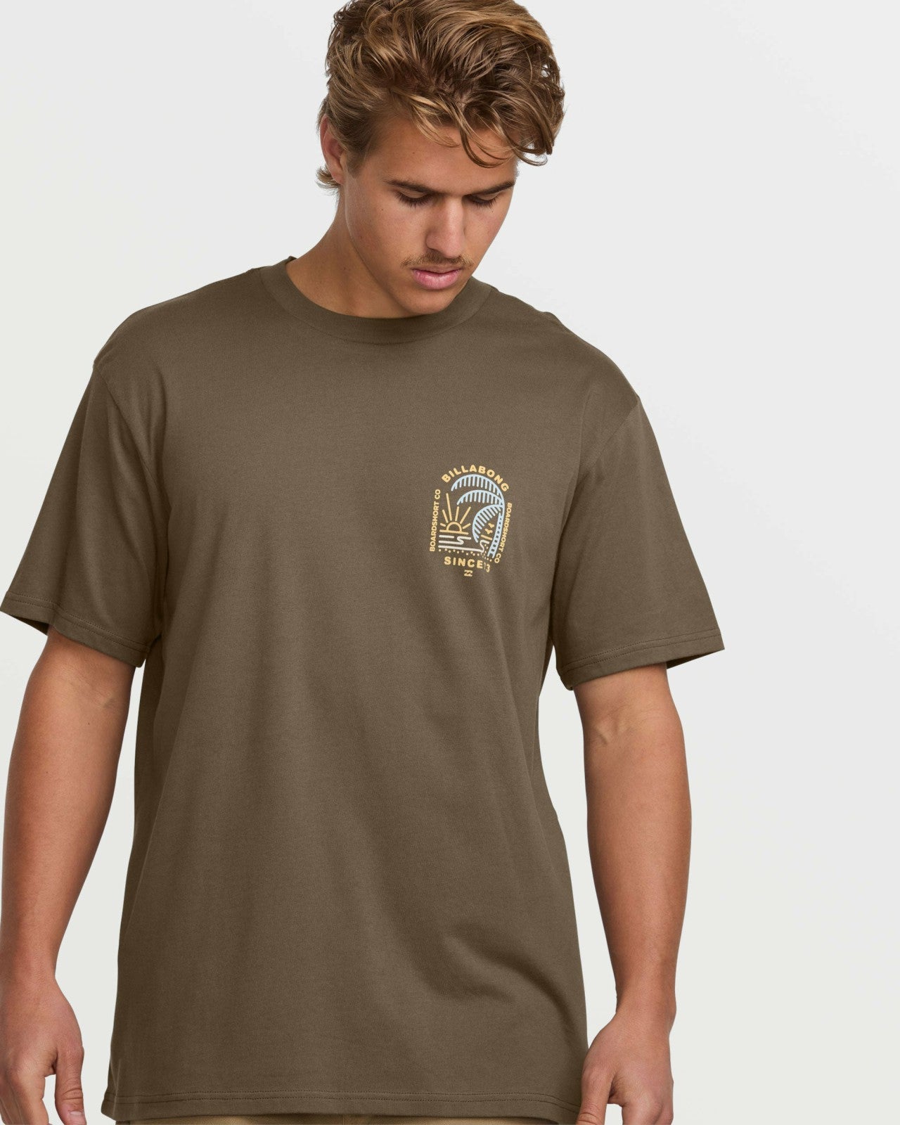 Last Light Premium Tee | Brown Billabong