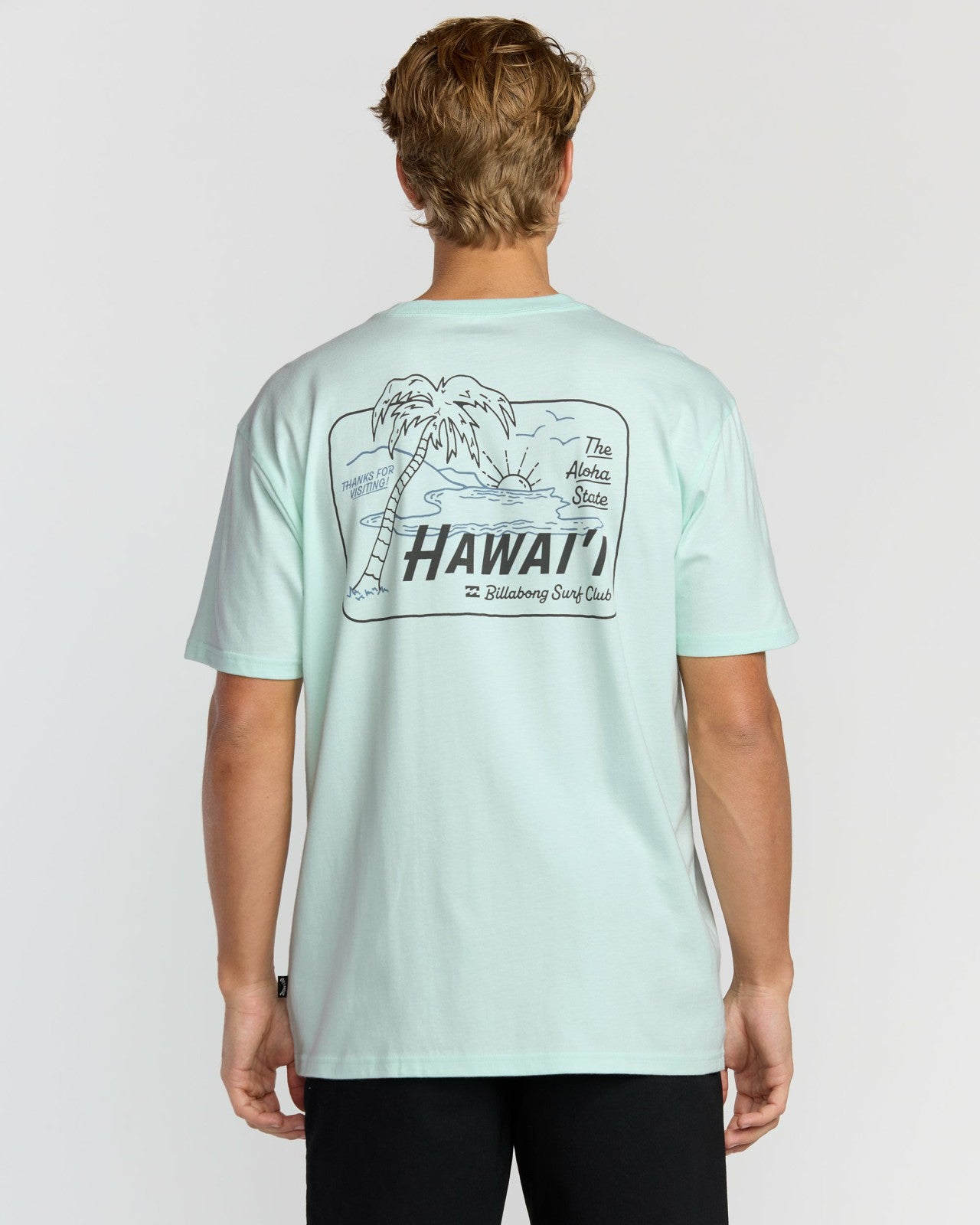 Lounge Hi Premium Short Sleeve T-Shirt | Sea Glass Billabong