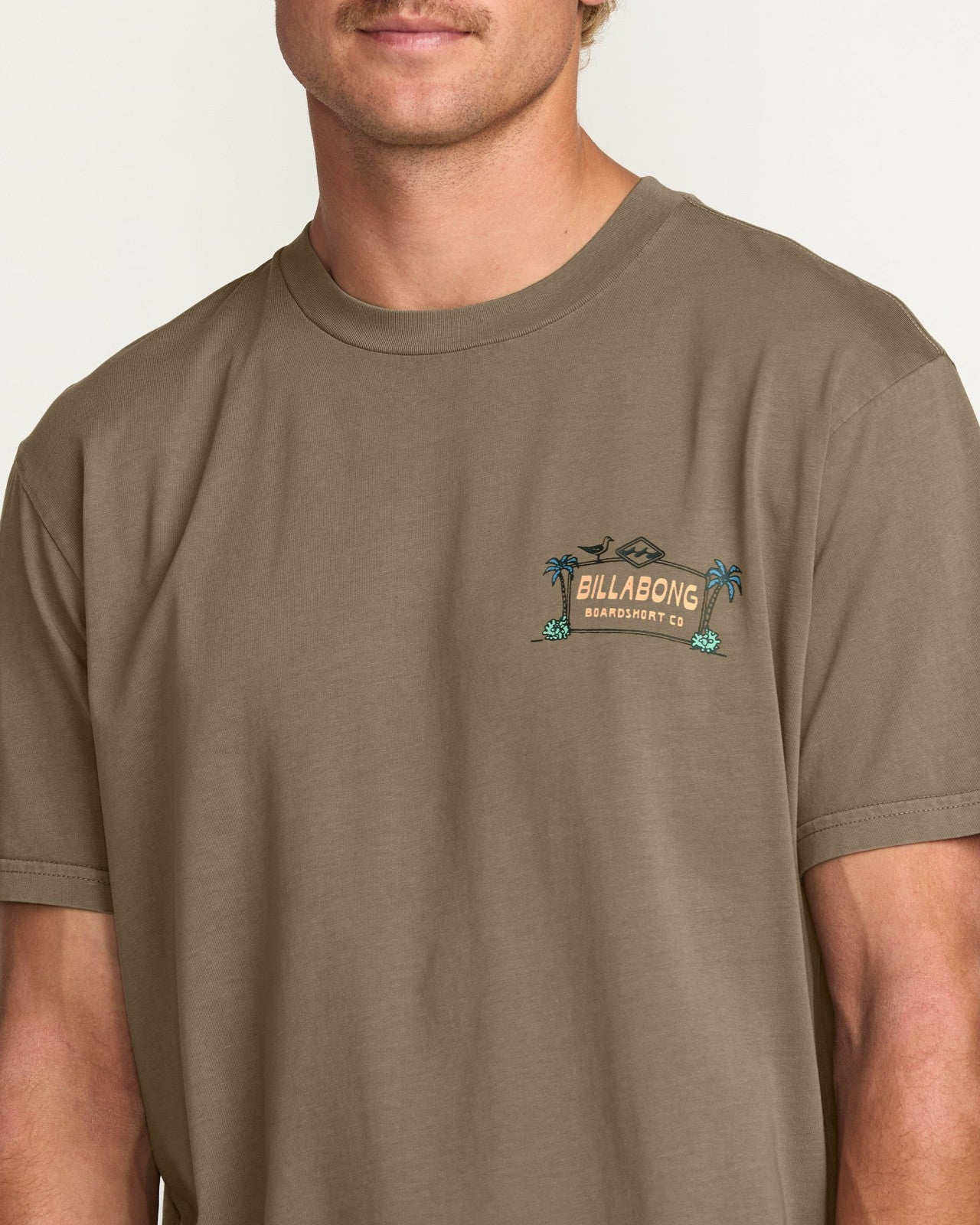 No Vacancy Premium Wave Wash Tee | Brown Billabong