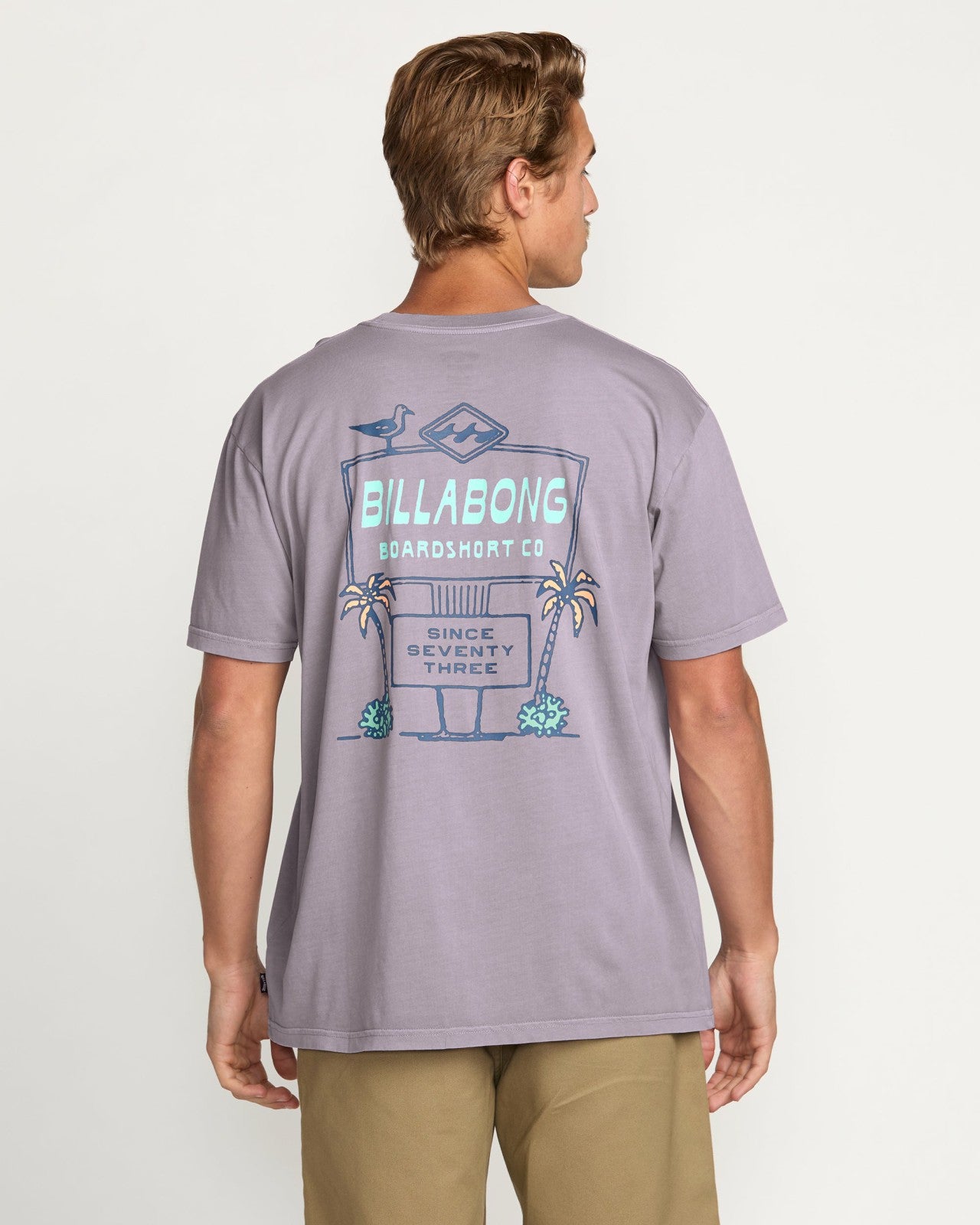 No Vacancy Premium Wave Wash Tee | Light Purple Billabong