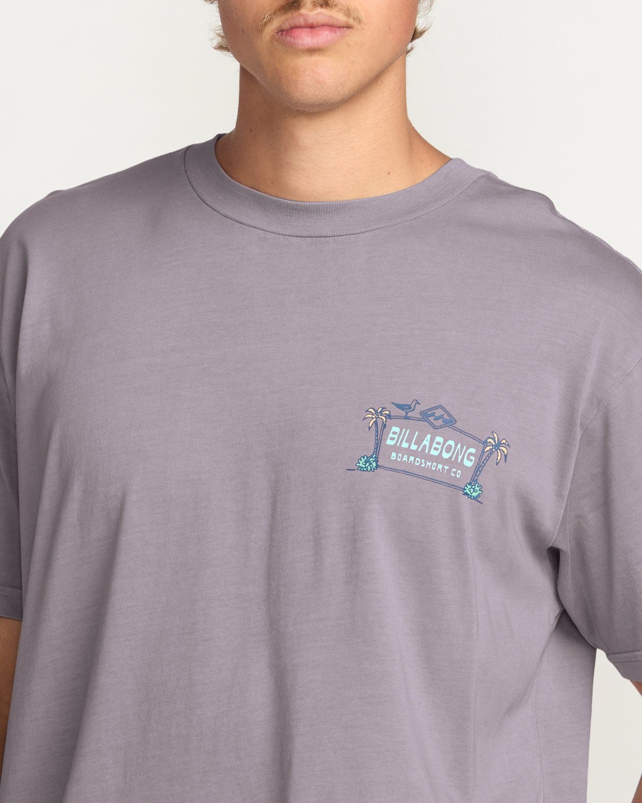 No Vacancy Premium Wave Wash Tee | Light Purple Billabong
