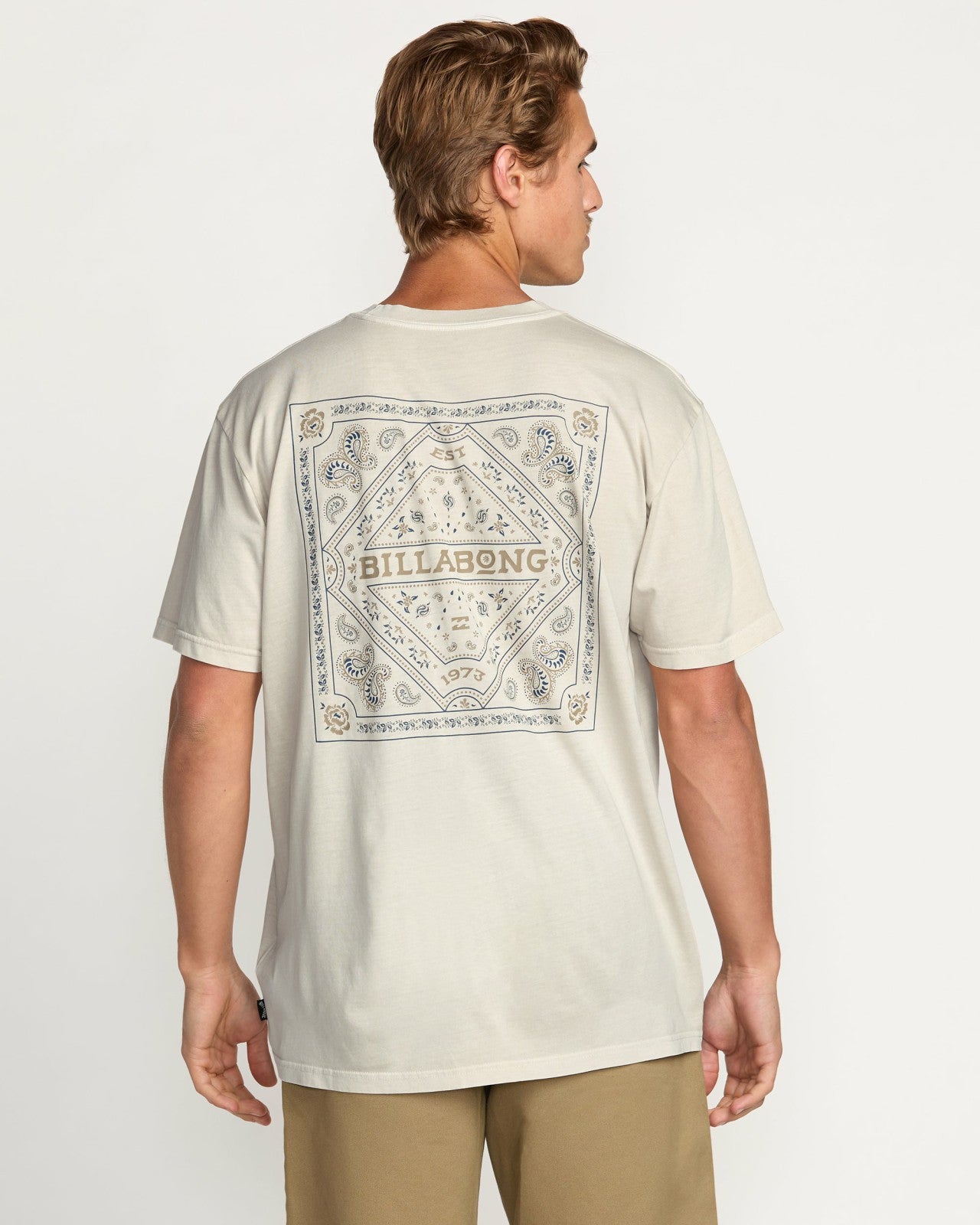 Paise Haze Premium Wave Wash Tee | Chino Billabong