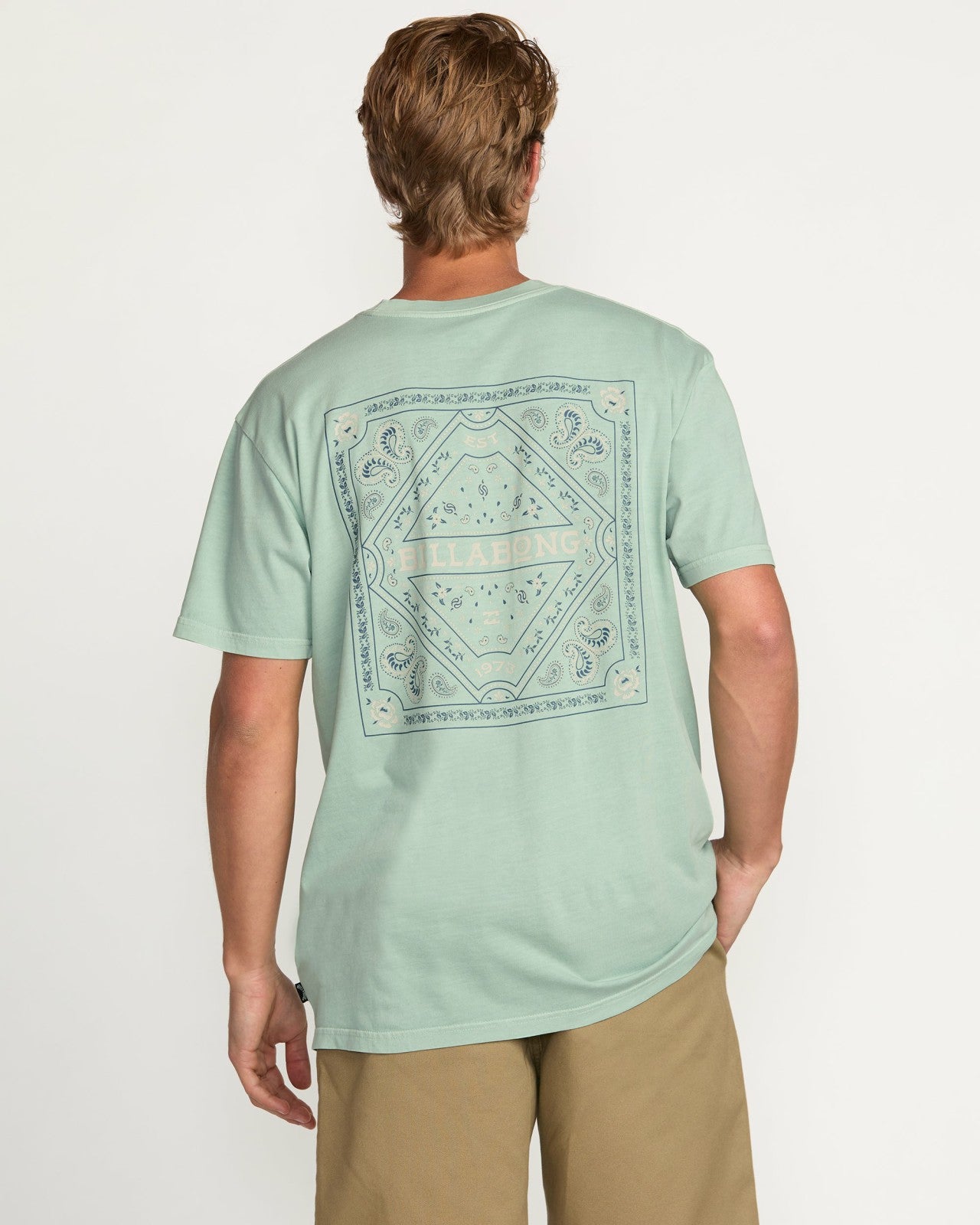 Paise Haze Premium Wave Wash Tee | Mist Green Billabong