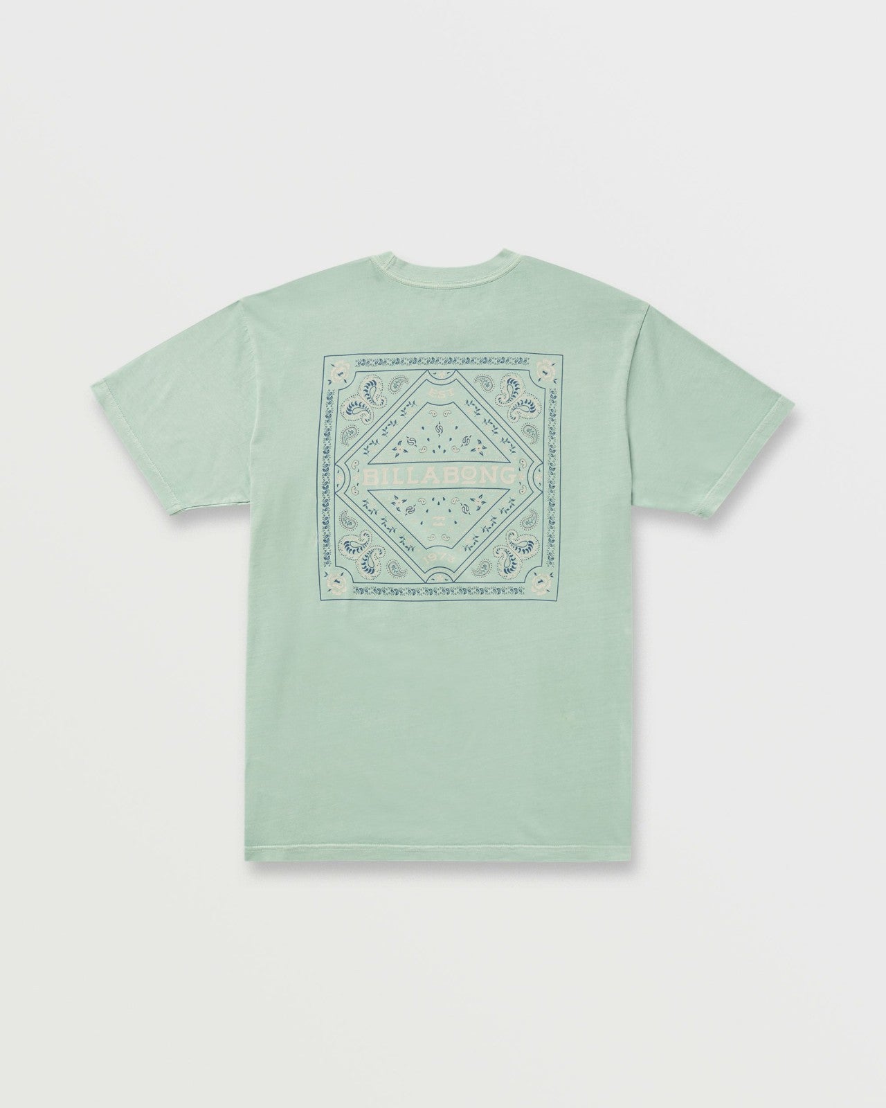Paise Haze Premium Wave Wash Tee | Mist Green Billabong