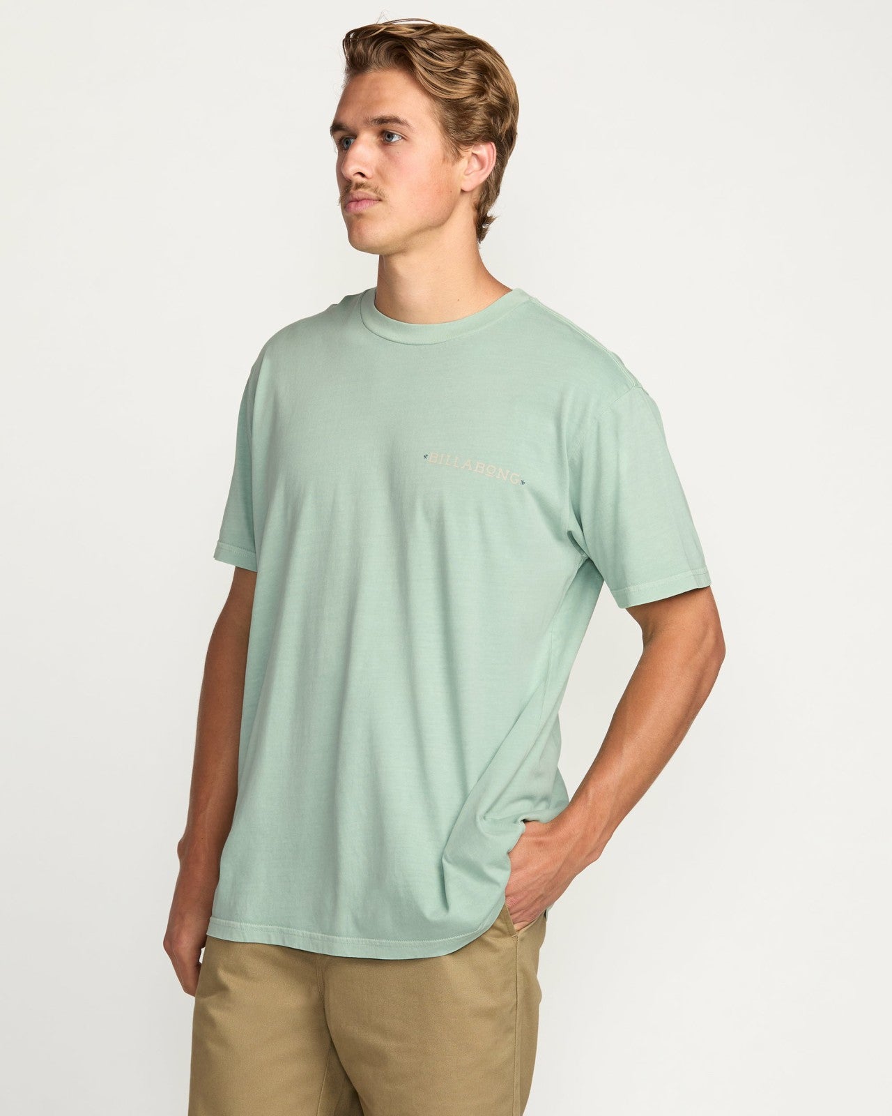 Paise Haze Premium Wave Wash Tee | Mist Green Billabong
