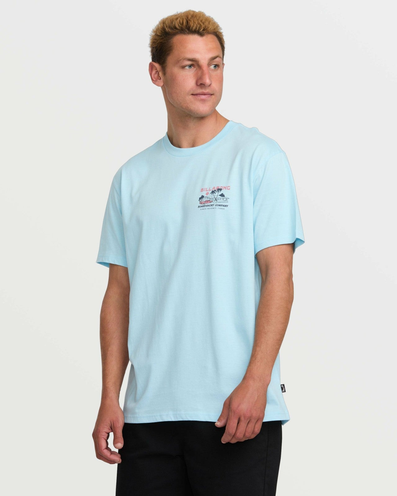 Palm Springs Premium Tee | Coastal Blue Billabong
