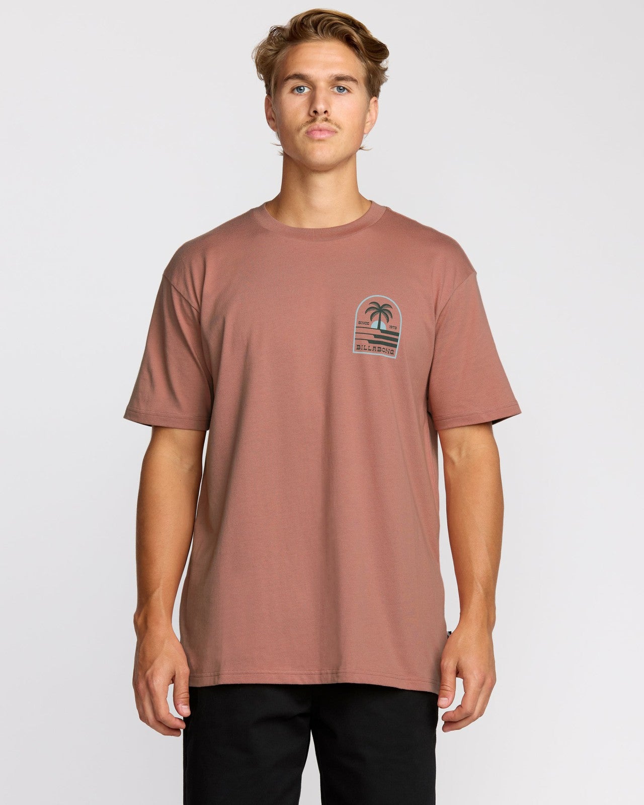 Portal Premium Short Sleeve T-Shirt | Dusty Rose Billabong
