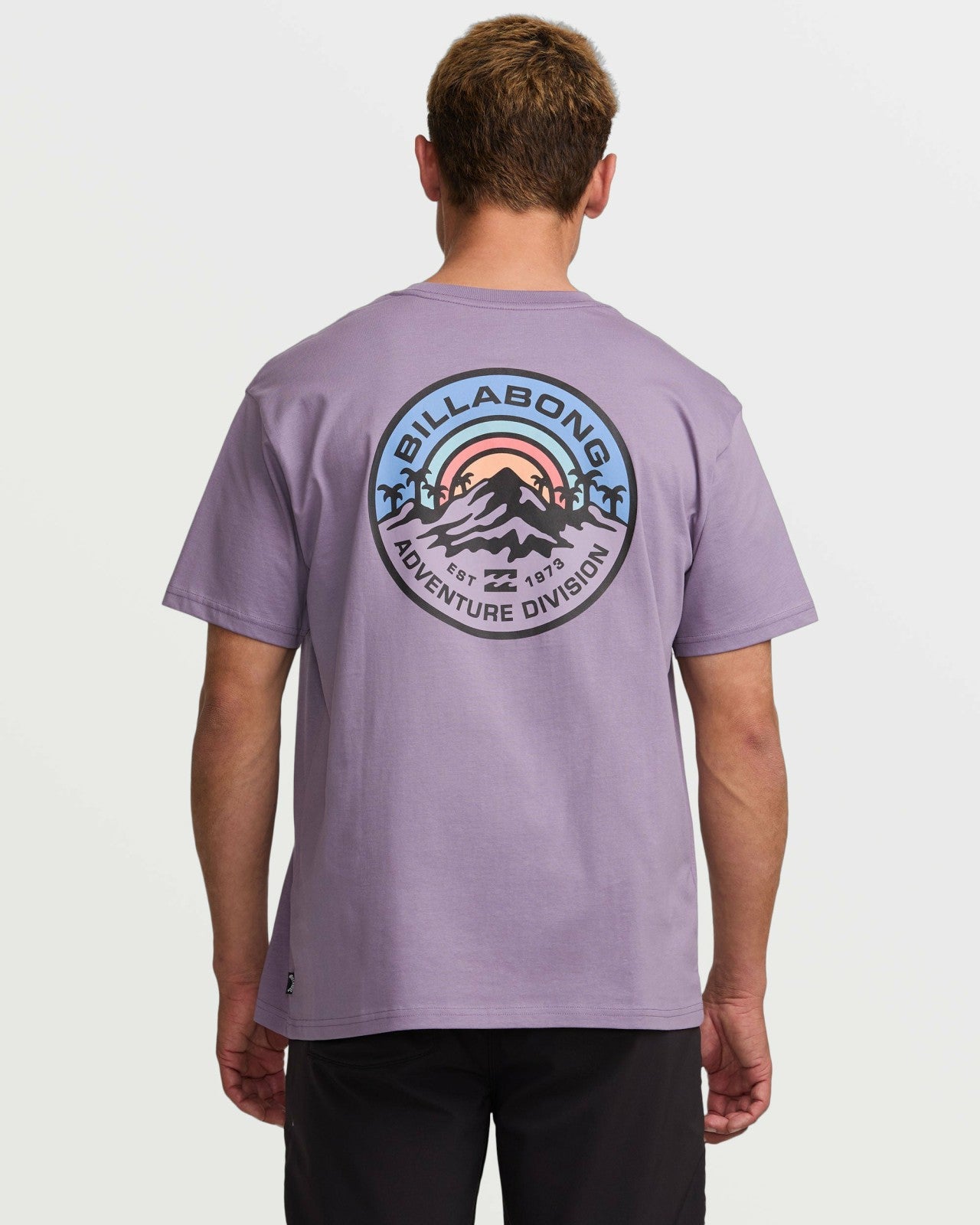 Rockies A/Div Tee | Lavender Billabong