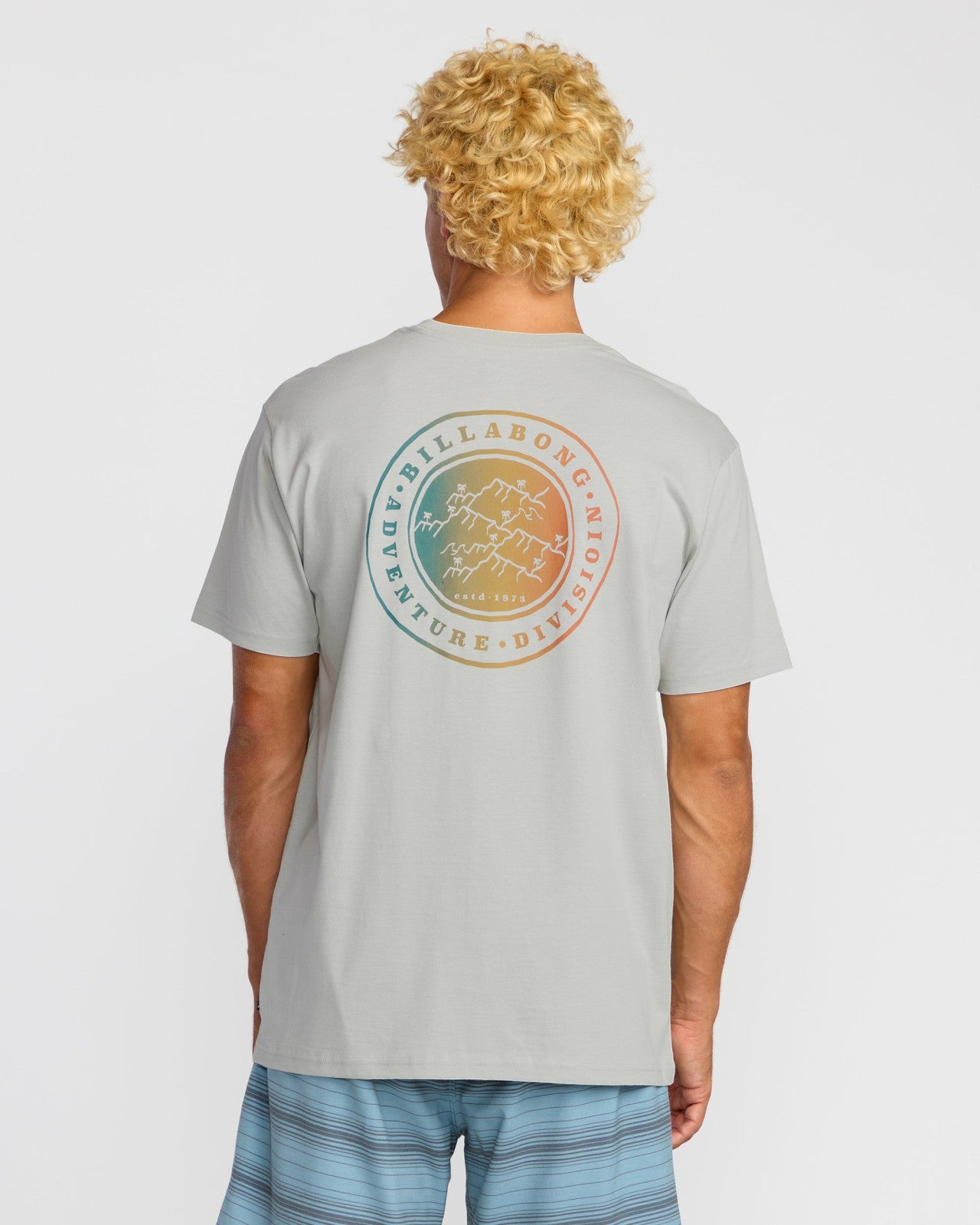 Rockies A/Div Short Sleeve T-Shirt | Silver Billabong