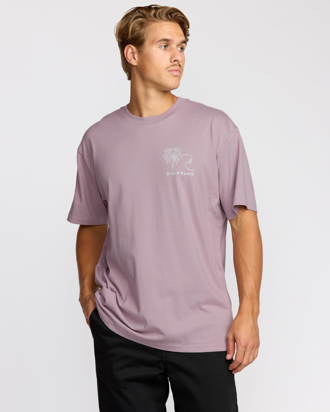 Scenes Regular Short Sleeve T-Shirt | Purple Ash Billabong