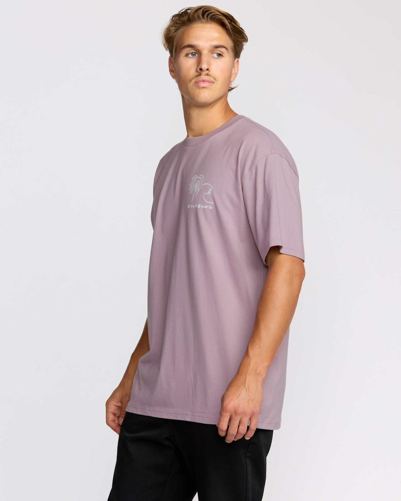 Scenes Regular Short Sleeve T-Shirt | Purple Ash Billabong