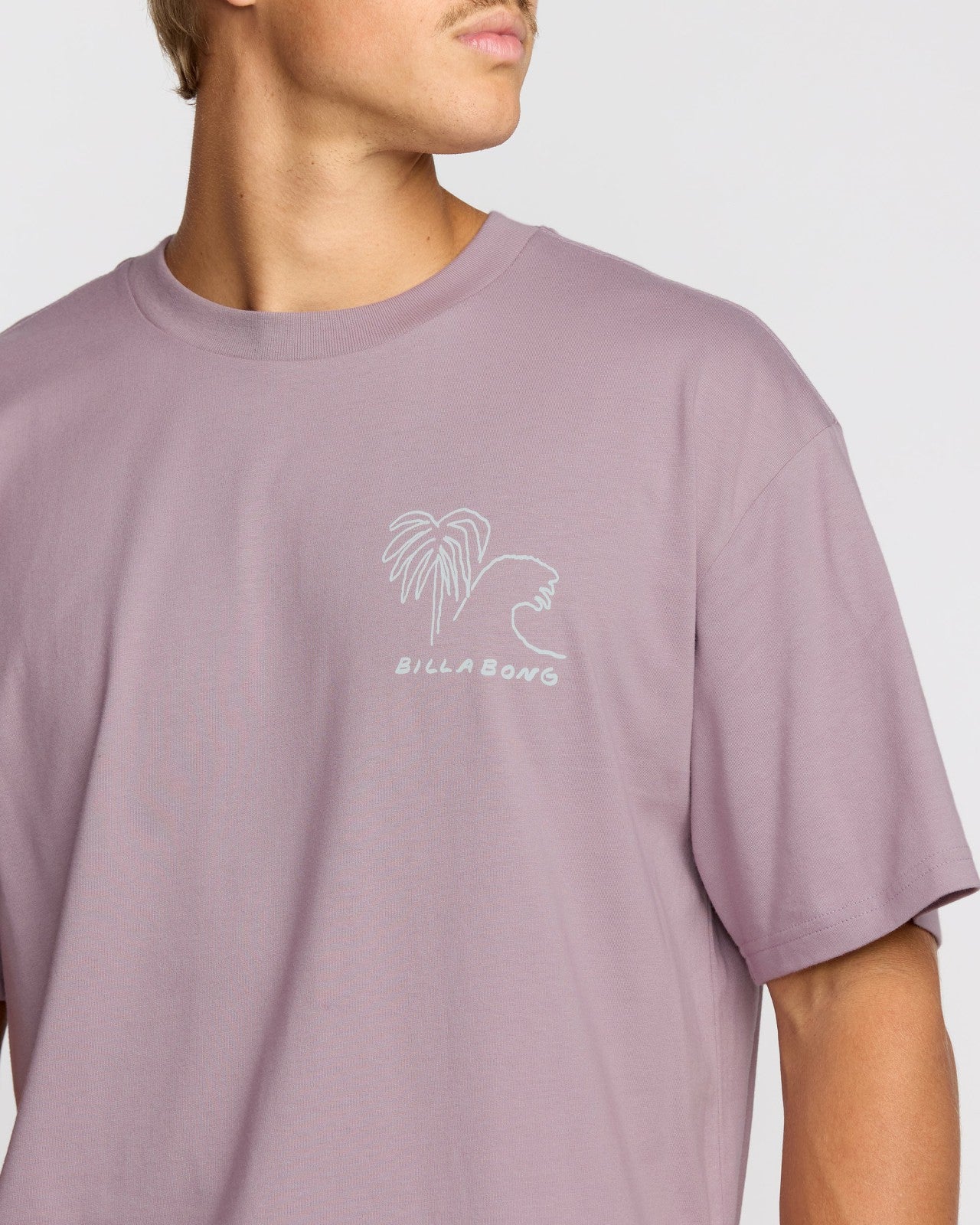 Scenes Regular Short Sleeve T-Shirt | Purple Ash Billabong
