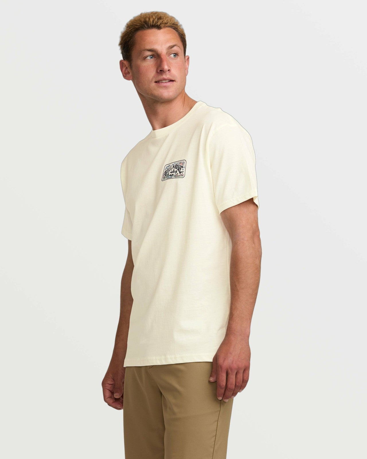 Scenic Arch A/Div Tee | Off White Billabong
