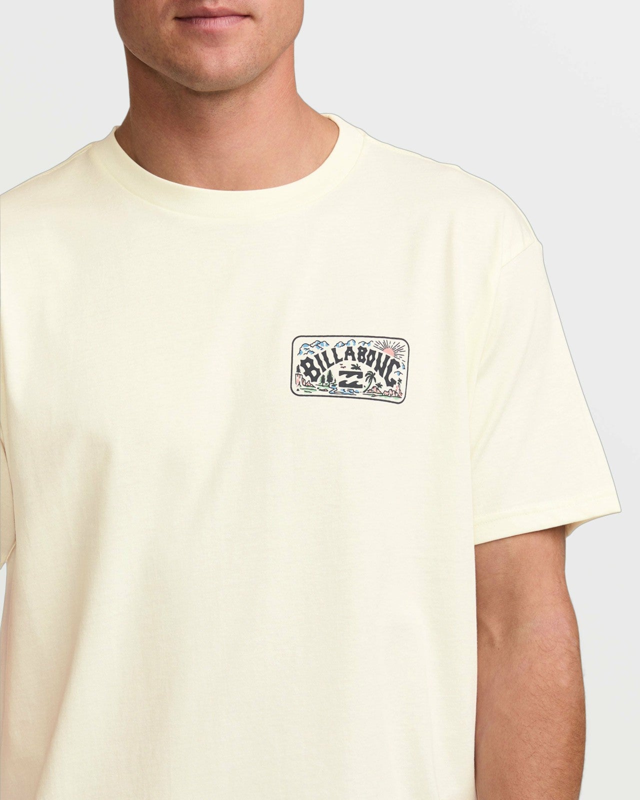 Scenic Arch A/Div Tee | Off White Billabong