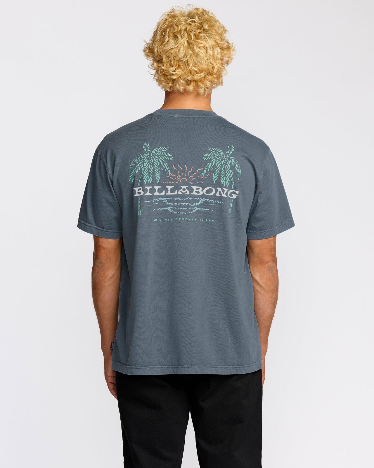 Social Lounge Premium Wave Wash Short Sleeve T-Shirt | Steel Blue Billabong