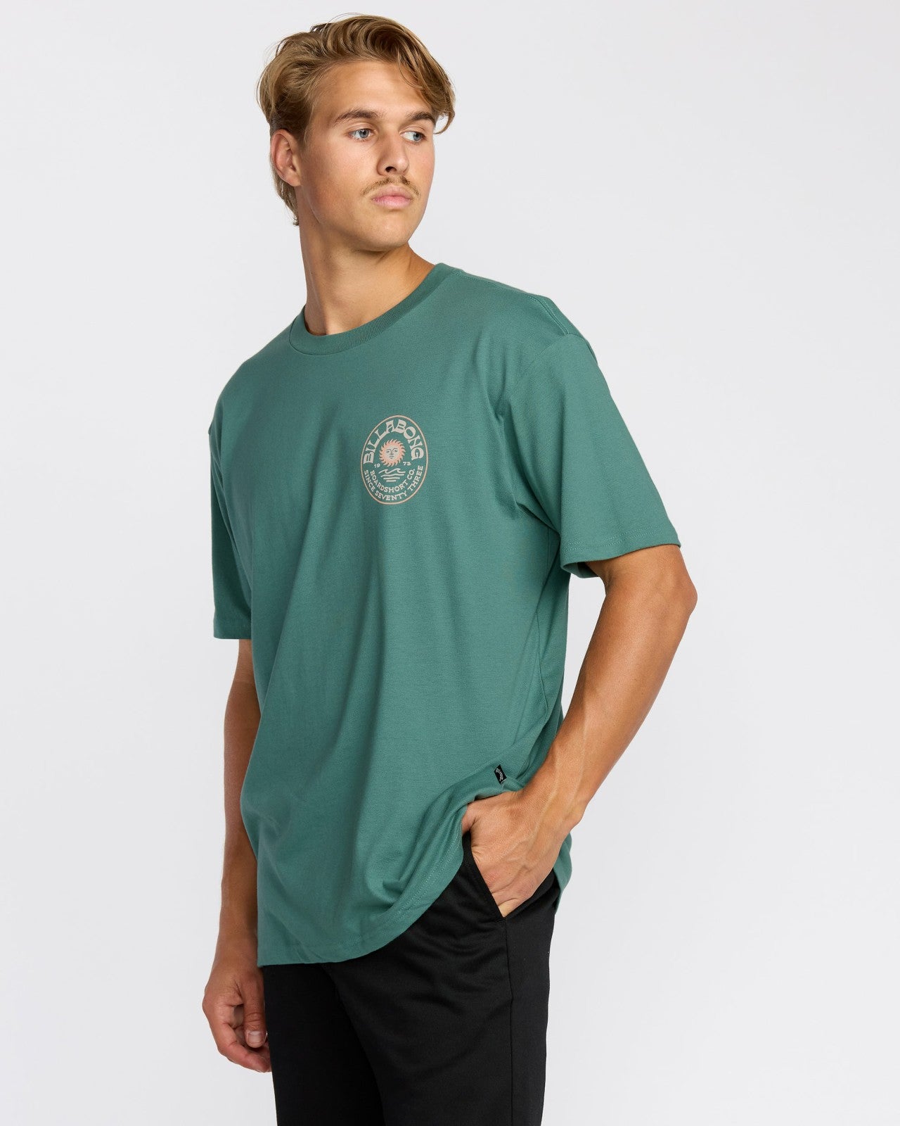 Sunny Days Premium Short Sleeve T-Shirt | Sage Green Billabong