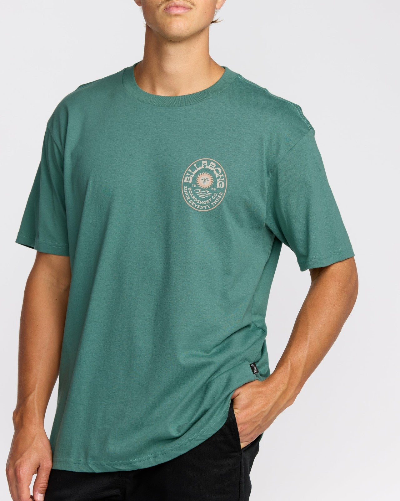 Sunny Days Premium Short Sleeve T-Shirt | Sage Green Billabong