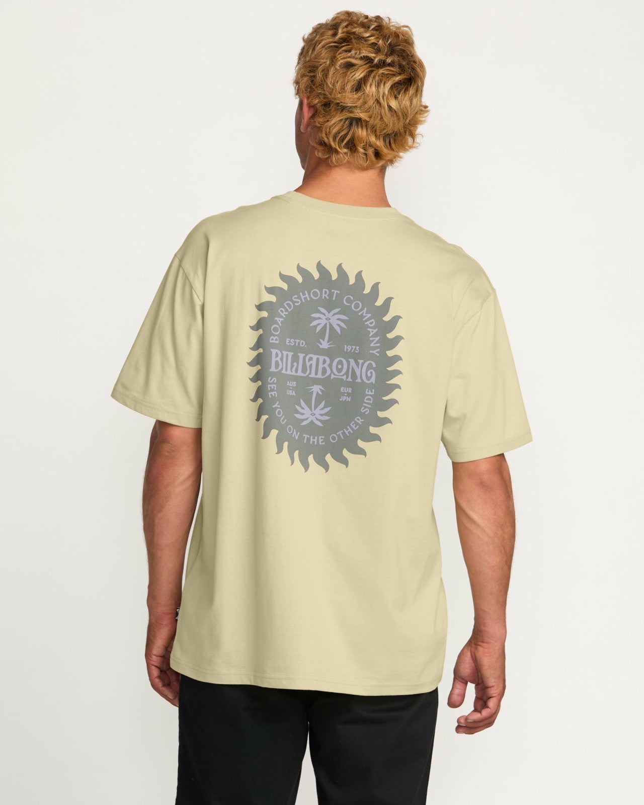 Sun Rays Regular Tee | Desert Billabong