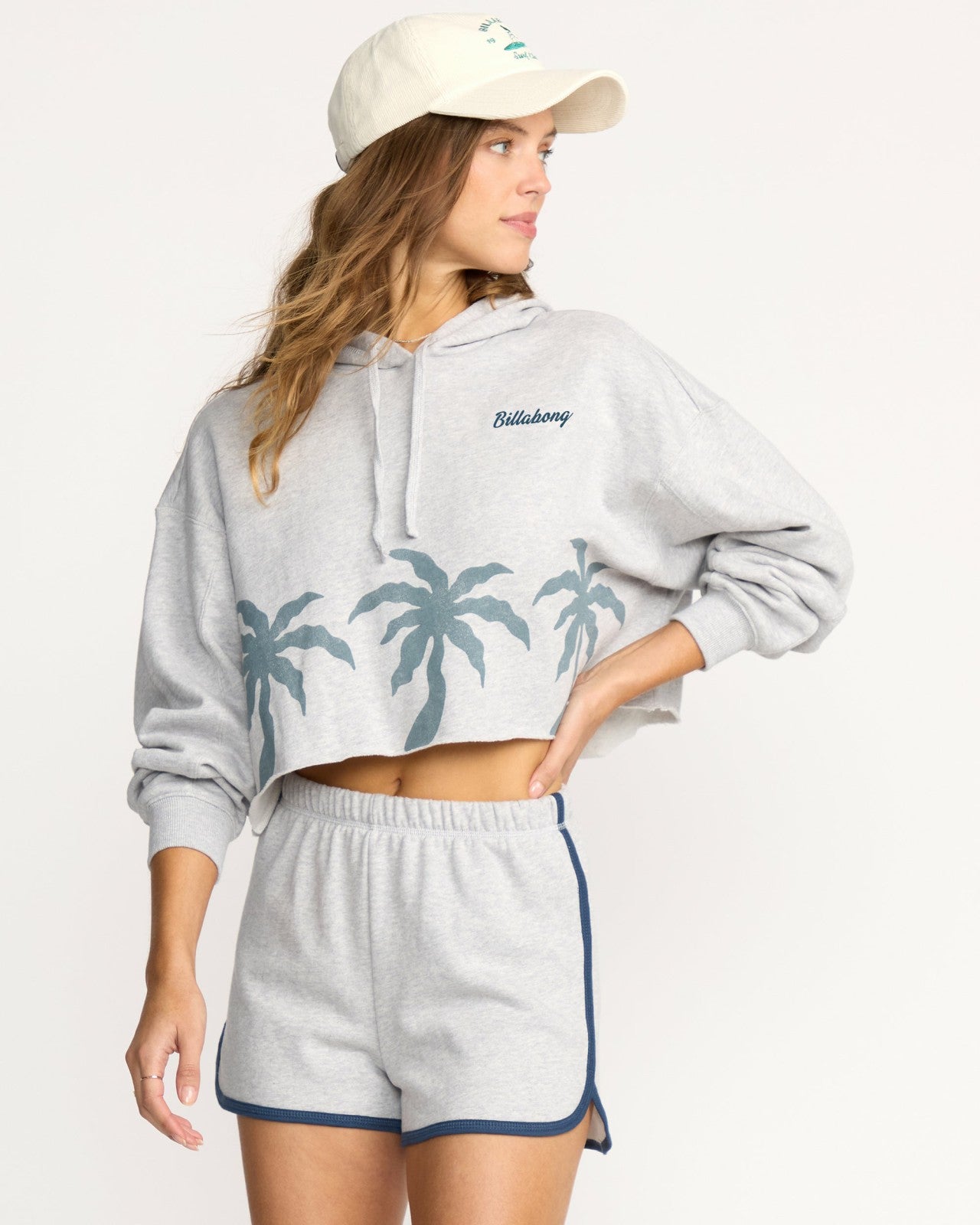 Triple Palms Hoodie | Heather Grey Billabong