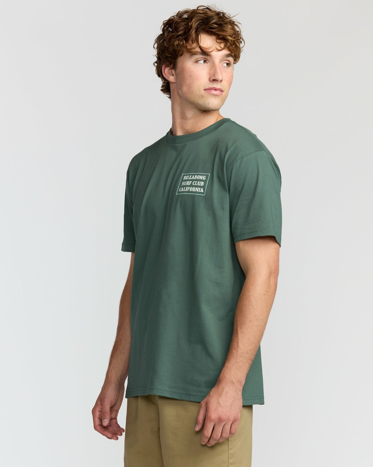 Wave Ca Premium Short Sleeve T-Shirt | Dark Slate Billabong