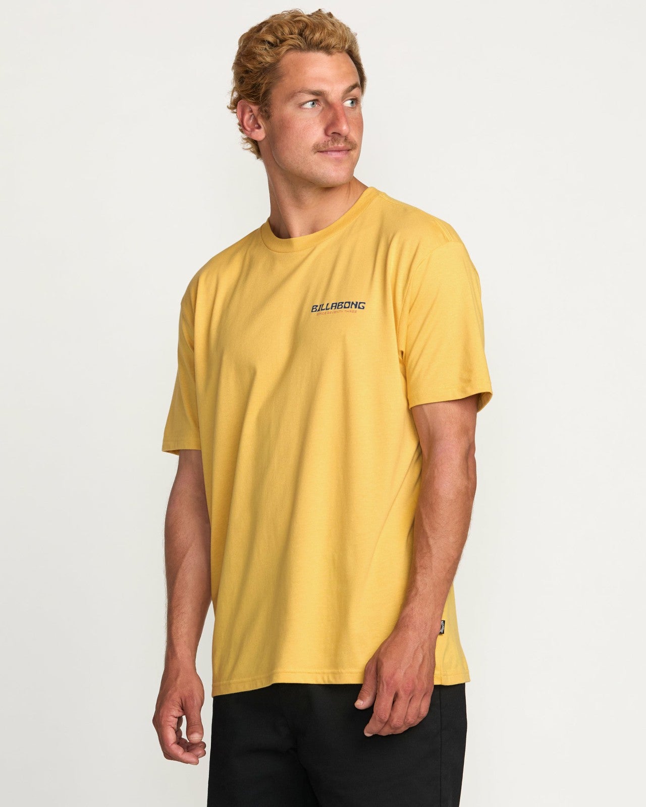 Window Premium Tee | Vintage Gold Billabong